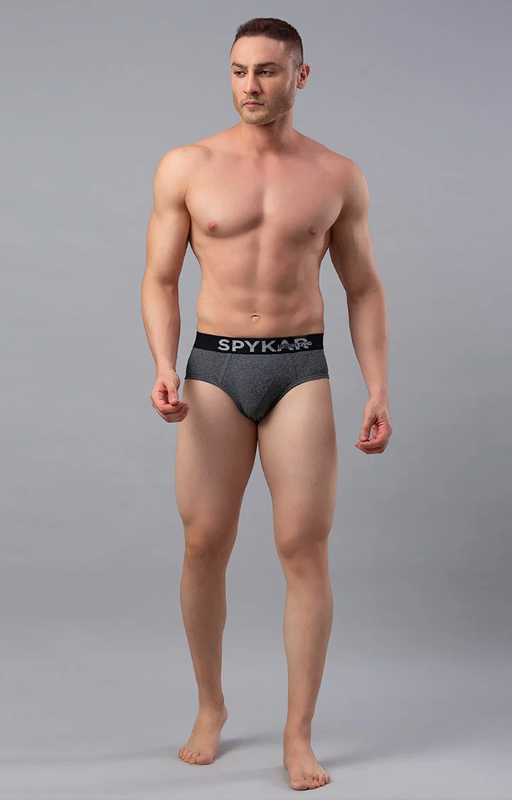 Underjeans Grey Solid Brief - Image 3