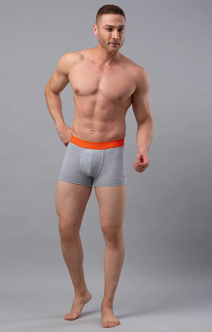 Underjeans Grey Solid Trunk - Image 5