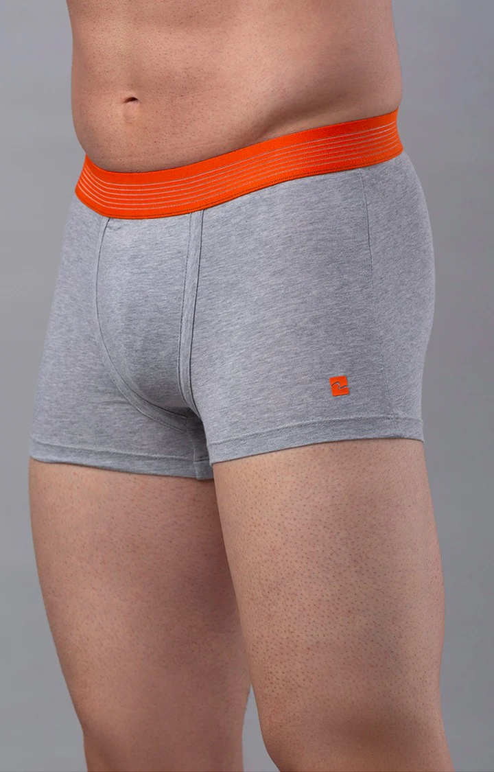 Underjeans Grey Solid Trunk - Image 6