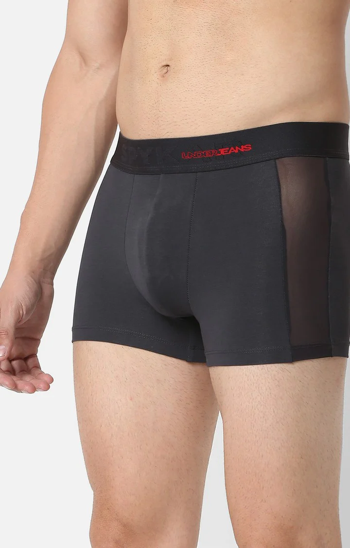Underjeans Grey Cotton Trunk - Image 5